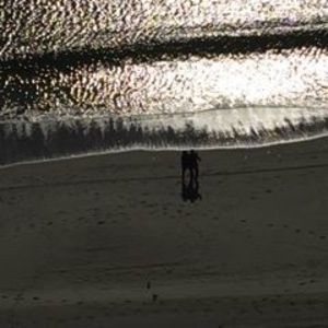 Meet your Posher, Bessie